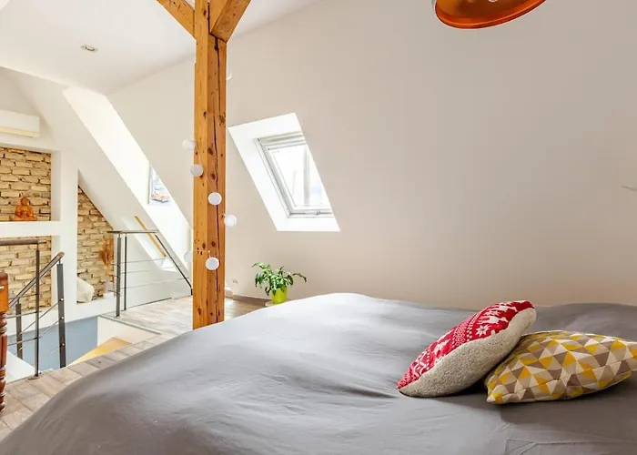 Superbe Duplex Prox Centre-ville Beautiful Duplex Close To Center 公寓 斯特拉斯堡