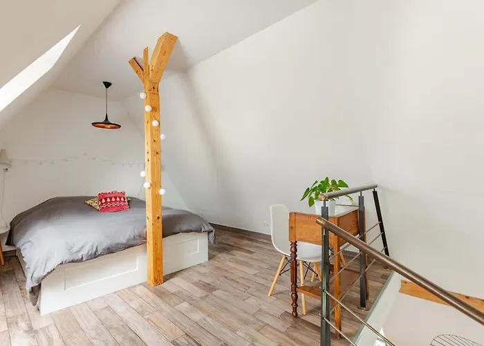 Superbe Duplex Prox Centre-ville Beautiful Duplex Close To Center 斯特拉斯堡