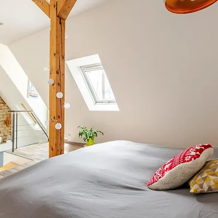 Superbe Duplex Prox Centre-ville Beautiful Duplex Close To Center Appartement Strasbourg