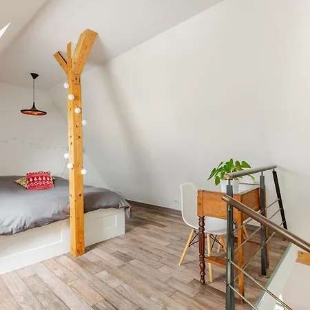 Superbe Duplex Prox Centre-ville Beautiful Duplex Close To Center Strasbourg